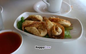 Crispy wontons at Loving Hut - North Park in San Diego