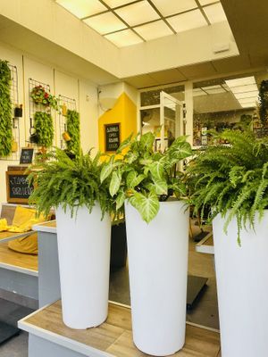 Outdoor seating   at Al Dente in Telfs