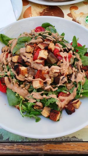  at Maslina in Rijeka