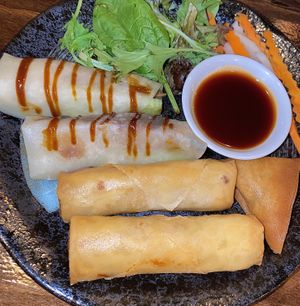 Vina mixed starter plate (did come with 2 samosas)  at Vina Vegan in Newtown