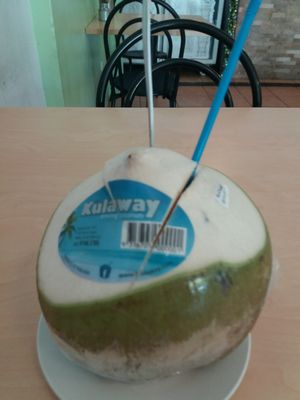 fresh coconut juice at Vina Vegan in Newtown