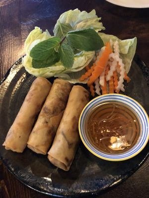 Spring rolls  at Vina Vegan in Newtown