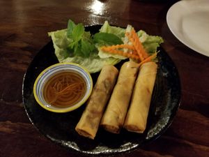 Spring rolls at Vina Vegan in Newtown