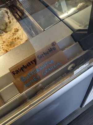 Vegan gelato labeled clearly at Bibo Coffee Company in Reno