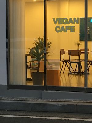 vegan cafe in haman at Slow Steady in Haman