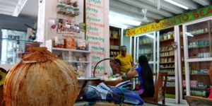 Coco *nut* on the menu at Girasoles Restaurante Vegetariano in Cartagena