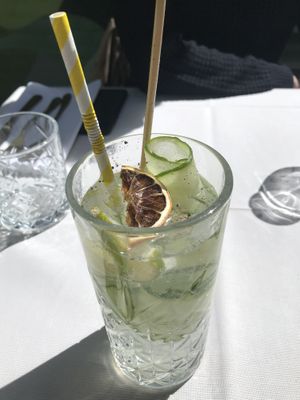 Gin tonic at Konijnenvoer in Arnhem