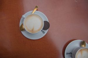 Oat cappuccino  at Konijnenvoer in Arnhem