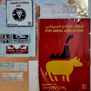  at Bayt Sara in Amman