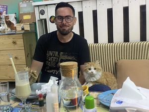 Lovely streetcat   at Bayt Sara in Amman