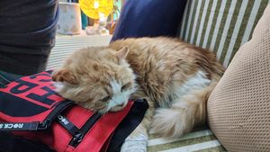  at Bayt Sara in Amman