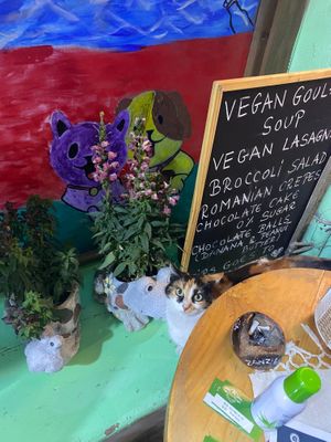  at Bayt Sara in Amman