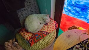  at Bayt Sara in Amman