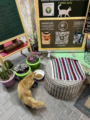   at Bayt Sara in Amman