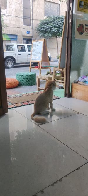 Entrance ;) at Bayt Sara in Amman