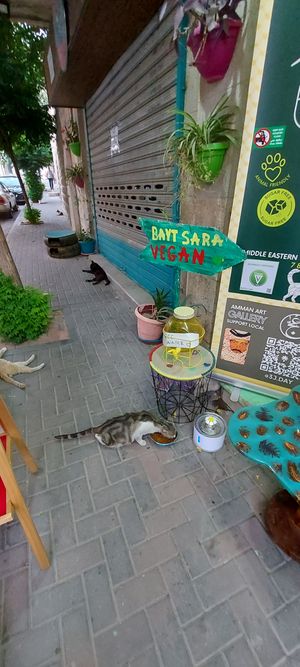  at Bayt Sara in Amman