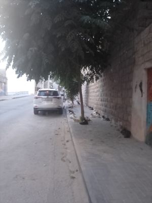  at Bayt Sara in Amman