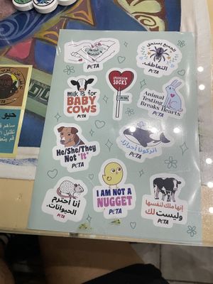   at Bayt Sara in Amman