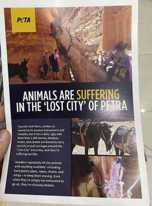   at Bayt Sara in Amman