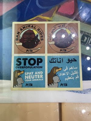   at Bayt Sara in Amman