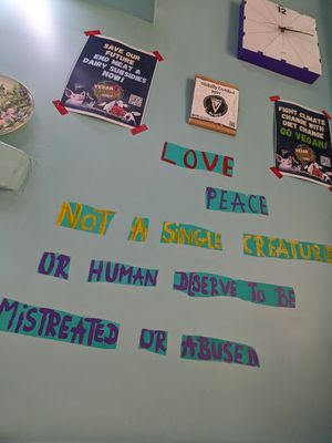  at Bayt Sara in Amman