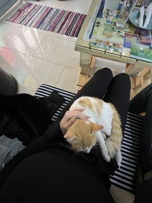   at Bayt Sara in Amman