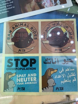 Great stickers   at Bayt Sara in Amman
