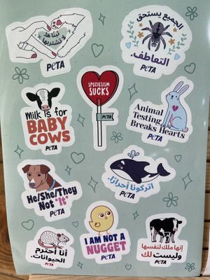   at Bayt Sara in Amman