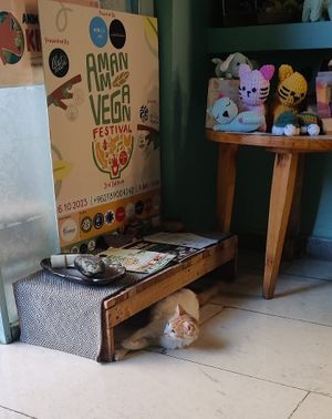  at Bayt Sara in Amman