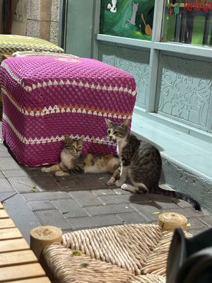   at Bayt Sara in Amman