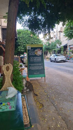  at Bayt Sara in Amman