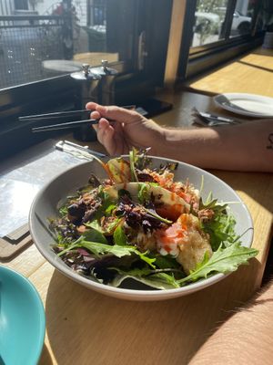   at Mad Apple in Launceston