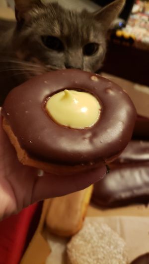 Yum at Wongz Donutz in Winchester