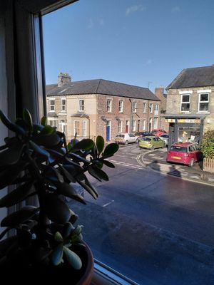 View out of the window (Feb 2022) at Bison Coffee House in York