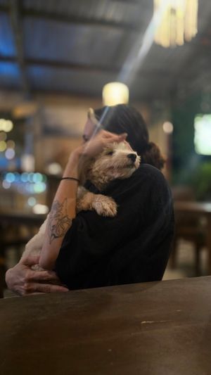  at Tin Tin Pizzas in Phu Quoc