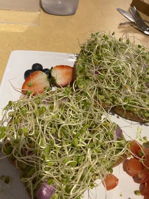 Some of the best avocado toast I’ve eaten. at Little Palm in Fort Myers Beach