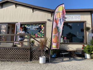 Little Palm  at Little Palm in Fort Myers Beach