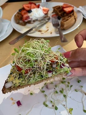 Avocado toast with everything bagel seasoning!  at Little Palm in Fort Myers Beach
