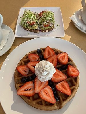 Whole wheat berry waffle with vegan whip at Little Palm in Fort Myers Beach