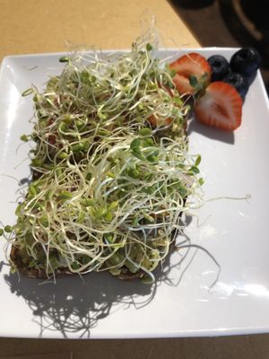 Avocado toast  at Little Palm in Fort Myers Beach