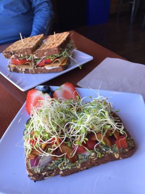 No turkey sandwich and avocado toast   at Little Palm in Fort Myers Beach