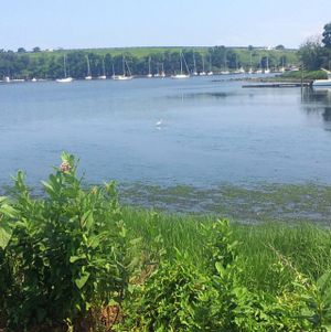 beautiful views at Bloodroot in Bridgeport