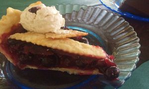 blueberry pie and chocolate cake at Bloodroot in Bridgeport