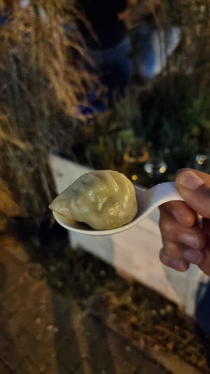 Momo at Lilly Jo in Zurich