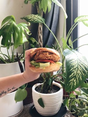 Delicious chicken sandwich   at Garden Grill in Las Vegas