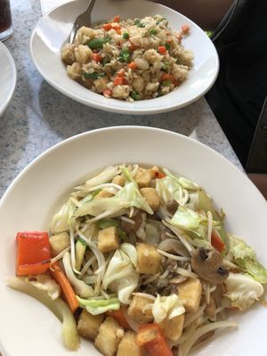 Tofu fried rice... and a veggie tofu rice dish at Tofu Hut in Lacey