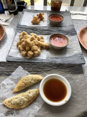APPETIZERS. Fried tofu, “crab” wontons, and potstickers all vegan. at Tofu Hut in Lacey