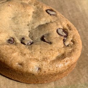 Chocolate Chip Cookie from "Just Enjoy Bakery" at the People's Plant-Based Party at Kalamazoo Farmers Market on 10/6/24, sponsored by PFC & Vegan Kalamazoo at Vegan Kalamazoo in Kalamazoo