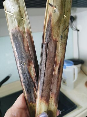 Otah, not bad eat. at Vegetarian Ideas 不荤主义 in Northeast Singapore