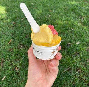 Strawberry, mango and carrot-lemon-ginger ice cream: it was fantastic!😄 at Amorino - Carmelitas in Porto